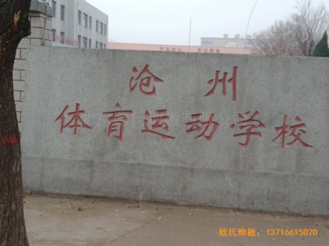 河北滄州體育學?；@球館體育地板施工